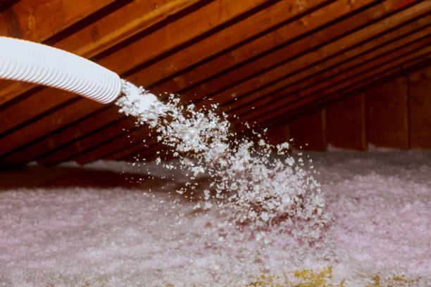 Best Specialized Insulation Services in Goldstream, AK