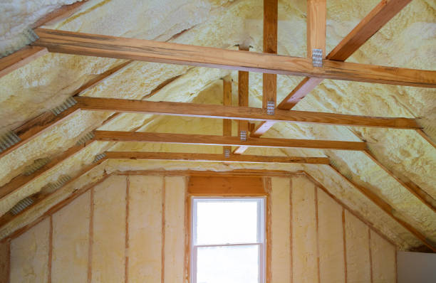 Best Insulation for Specific Applications in Goldstream, AK