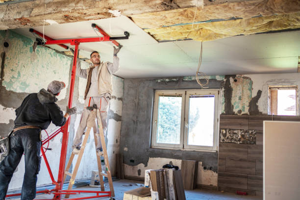 Best Eco-Friendly Insulation in Goldstream, AK