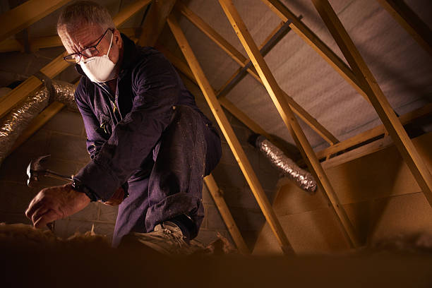 Best DIY Insulation Kits and Guidance in Goldstream, AK